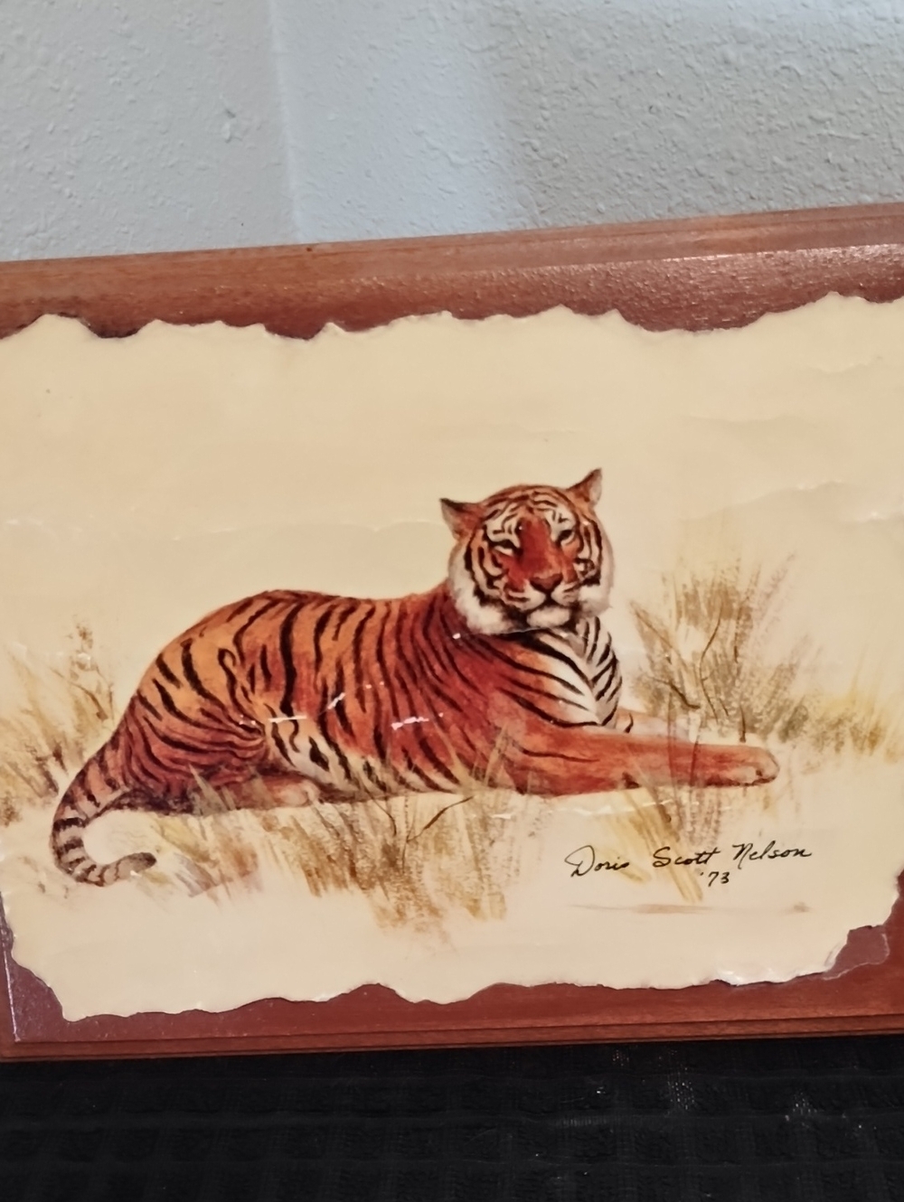 Framed Vintage Tiger Print Wall Art - Orange and Black